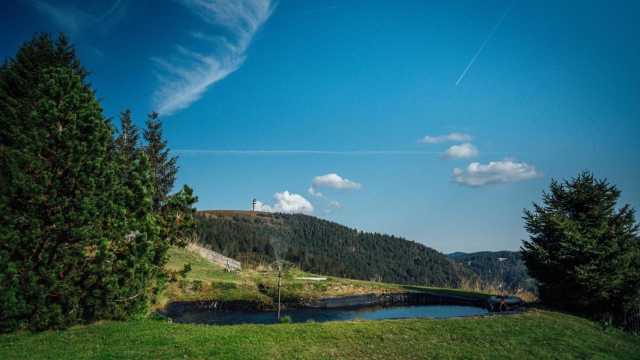 Berggasthof Zur Todtnauer Huette 펠트베르크 외부 사진